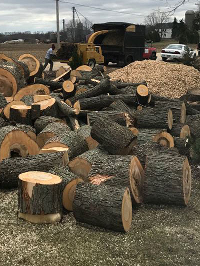 stump grinding clean up service photo.